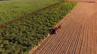 Βραζιλία: Επενδύσεις 13,5 Δις για Βιοκαύσιμα